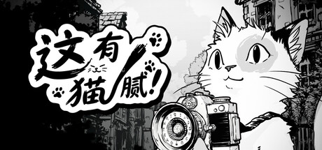 《这有猫腻》中文版
