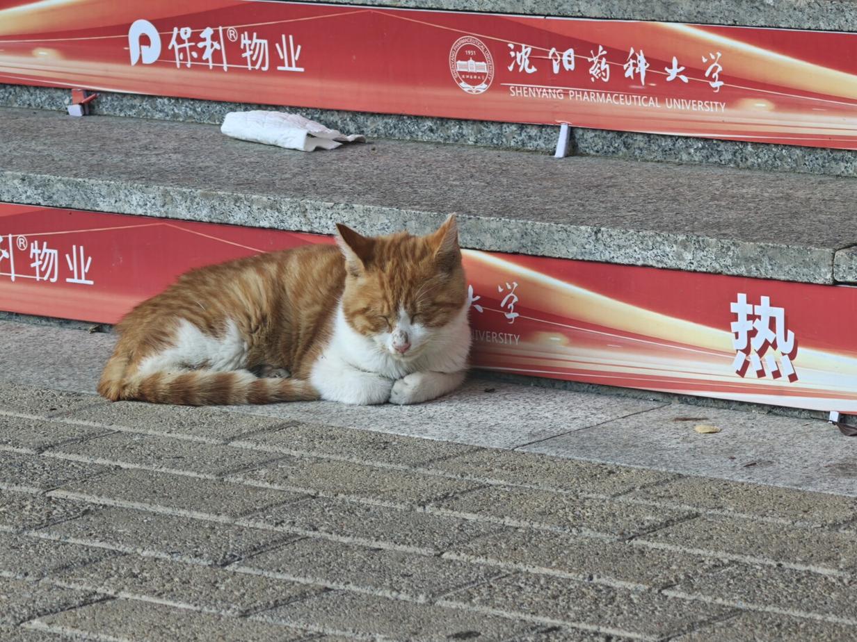 图片8