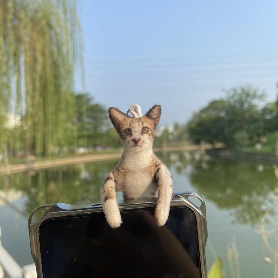 图片6