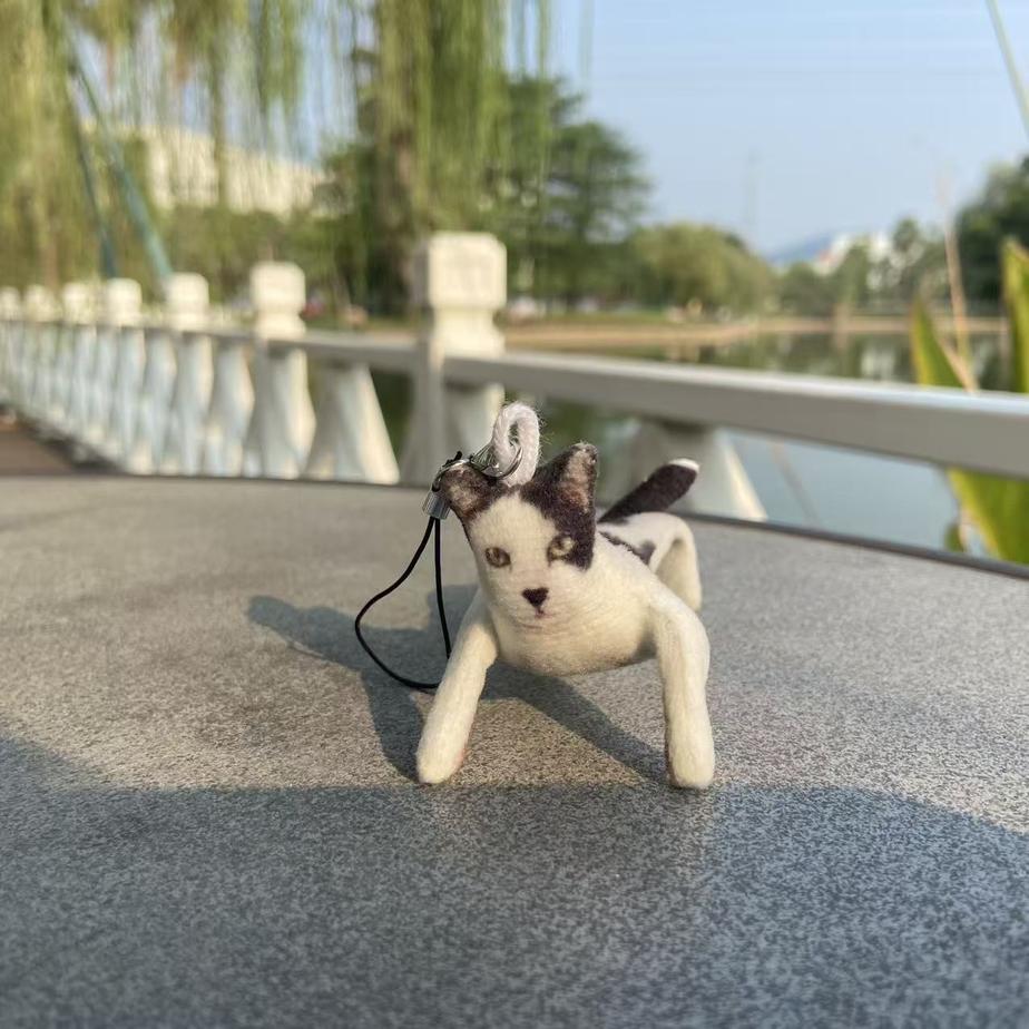 图片8