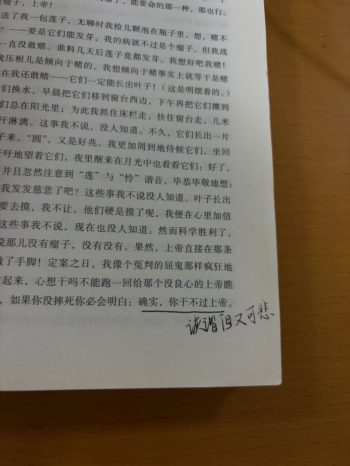 图片3