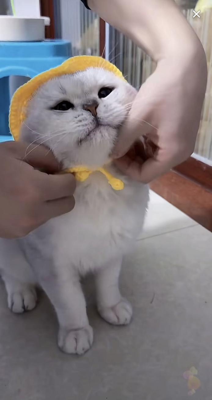 图片5