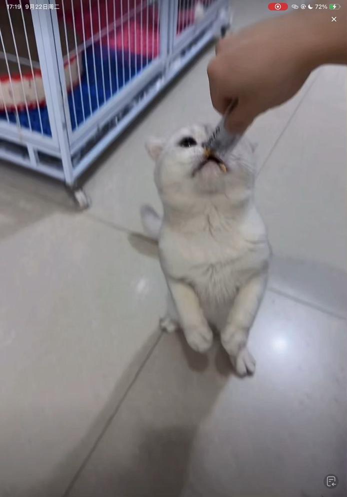 图片9