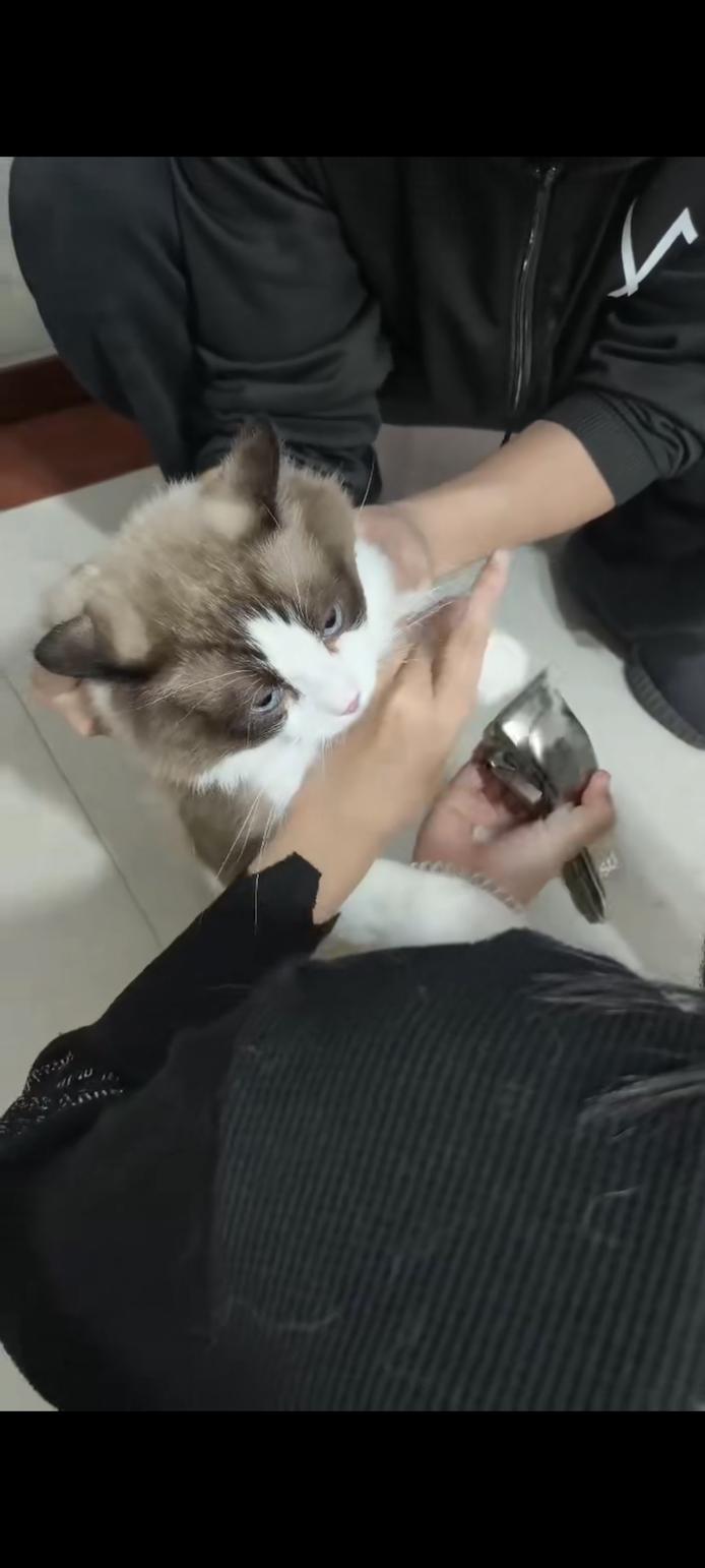图片7