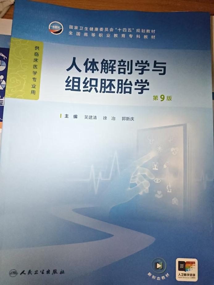 图片3