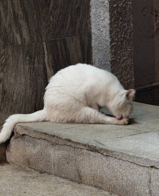 图片3