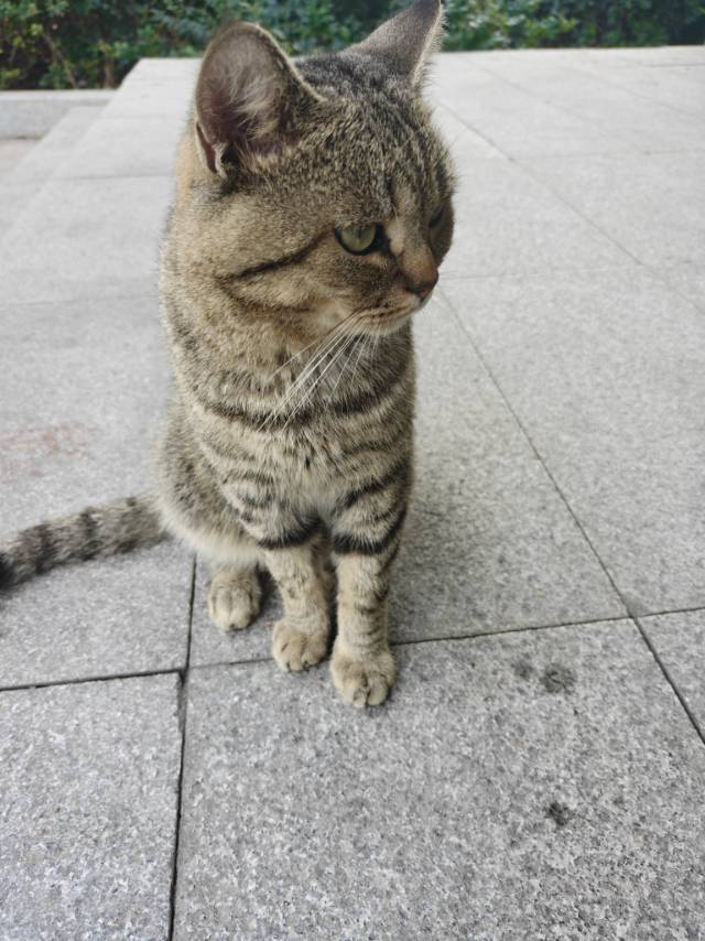 图片3