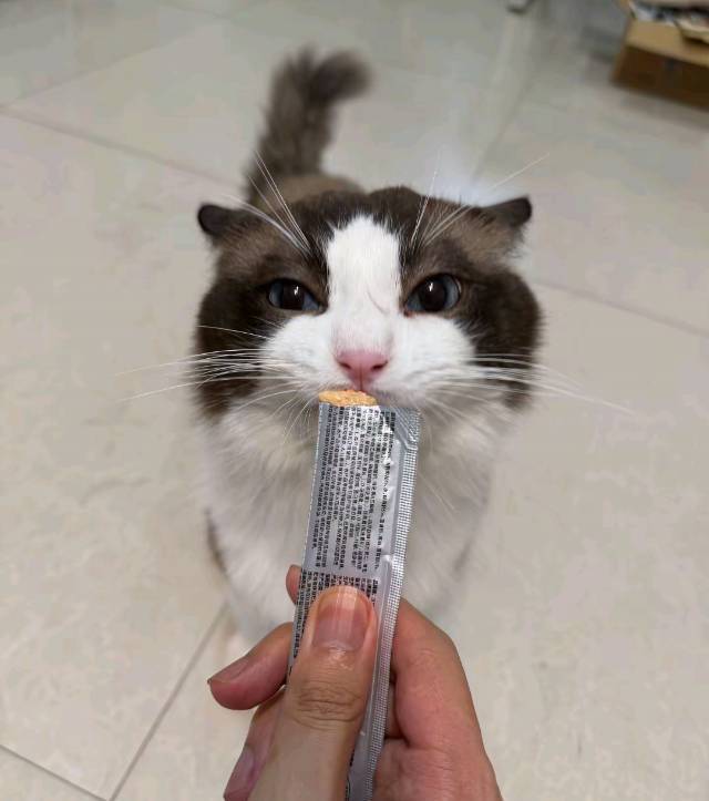 图片4