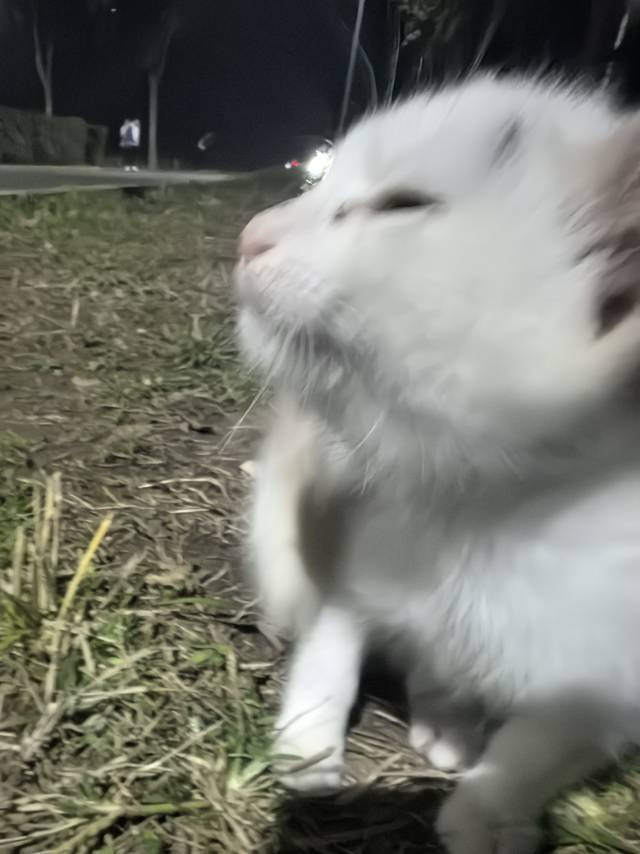 图片6